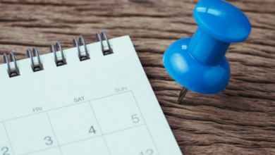 Blog - how to review your annual leave balances in Xero